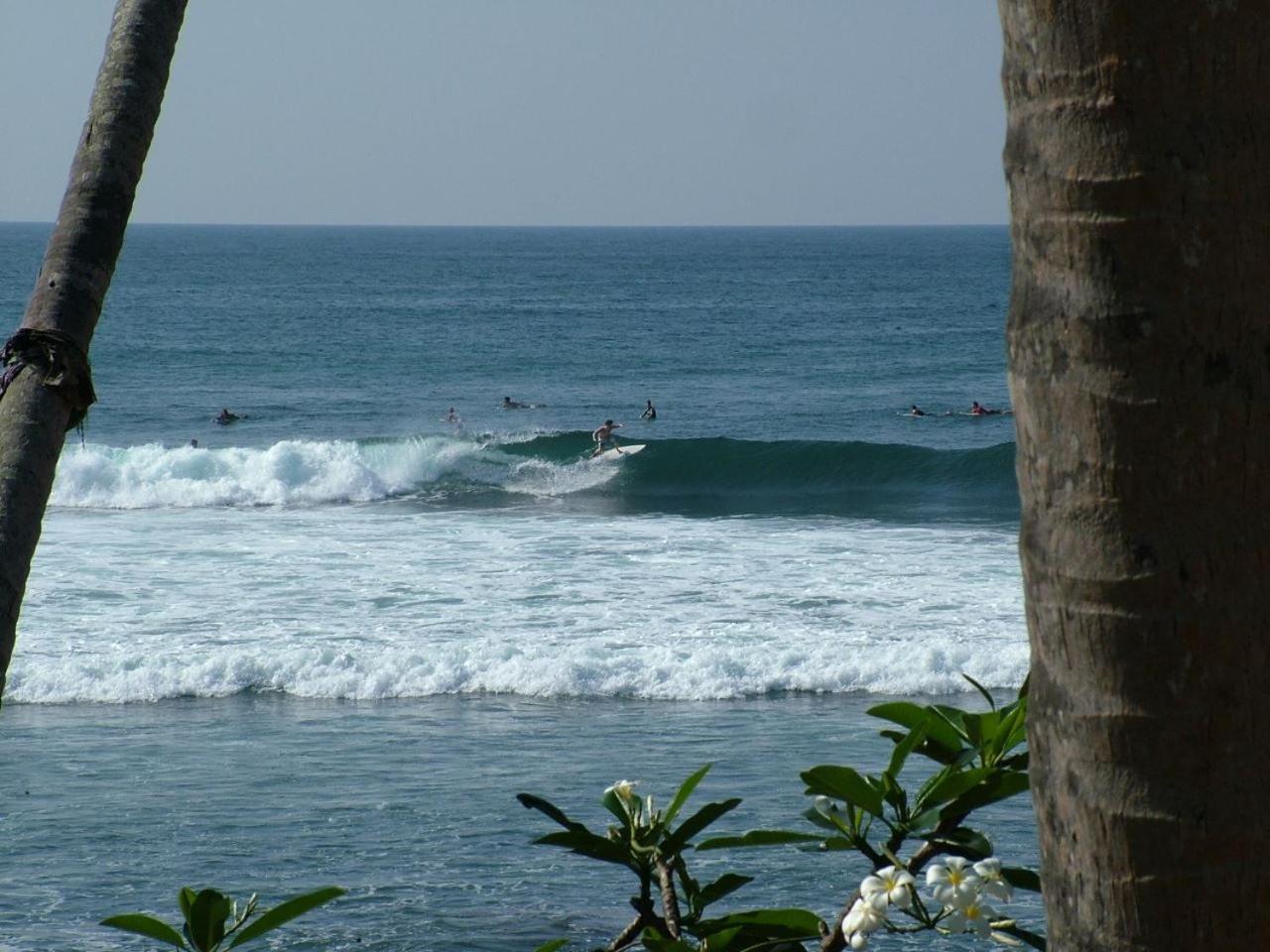 米迪加马东 Jayanthi Surf Dreams酒店 外观 照片